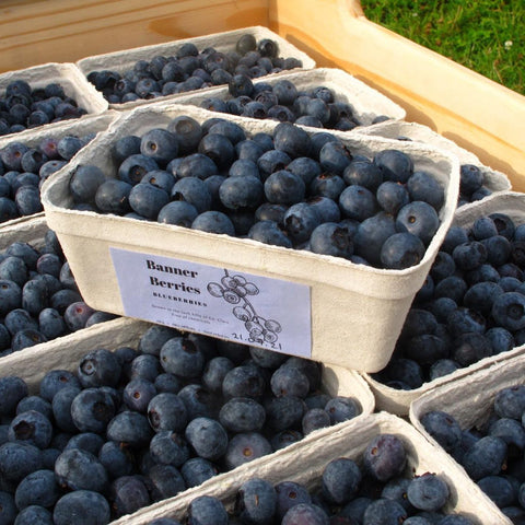 Banner Berries, Co. Clare