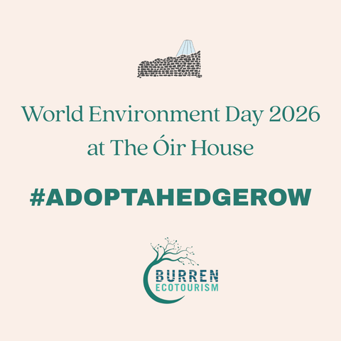 World Environemnt Day at The Óir House