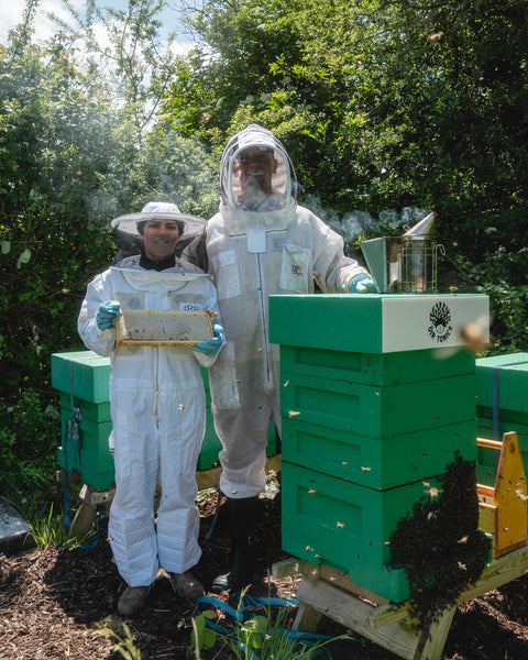 Open Hive, Co. Galway